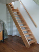 Stiege in Buche