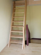 Stiege in Buche
